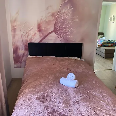 Koliber Nad Morzem W Darlowku Darlowo